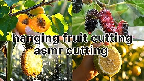  🌿🍎“Tree Hanging Fresh Fruits ASMR Cutting | Super Satisfying Sounds” 