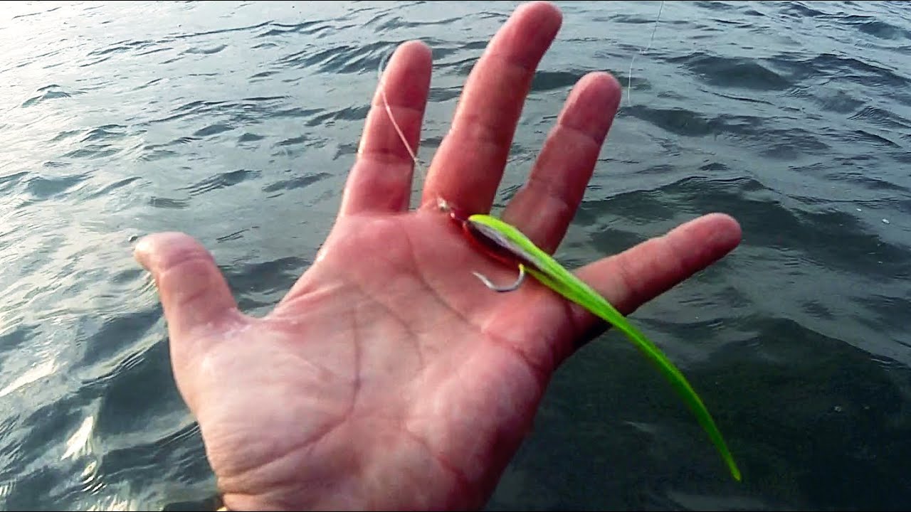 Coldwater Tips for Winter Striped Bass - STAY WARM - Saltwater Fly Fishing for Stripers