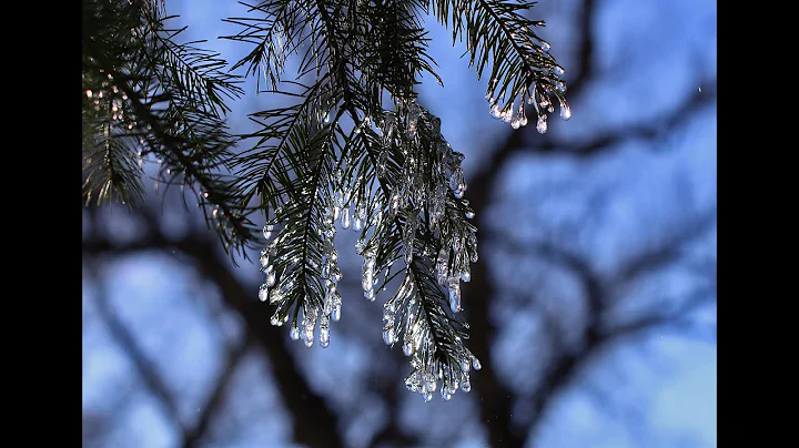 Maria Newman's "WINTER ECHO CAROL FOR NOAH" ~ Mart...