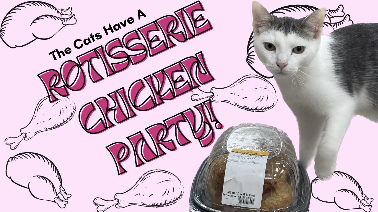 ROTISSERIE CHICKEN PARTY AT THE CAT CAFE!