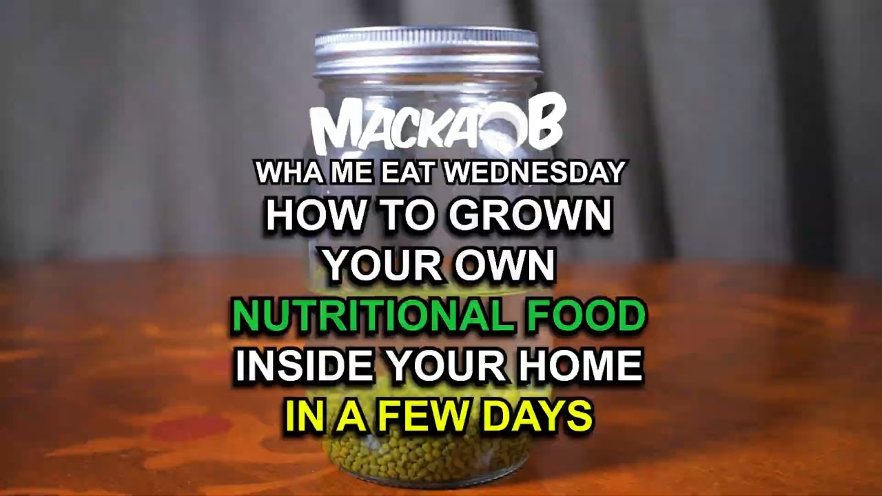 ⁣Macka B Wha Me Eat Wednesdays 'How to grow your own nutritional food inside your home in a few 