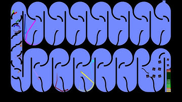 Marble Run Points Race - Race 7 & 8 of 11 - Course 4 - Video 4 - Algodoo