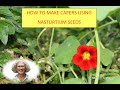 How to make Capers using Nasturtium seeds