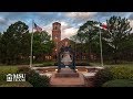 MSU Texas Others(1) MSU Texas Others(1)