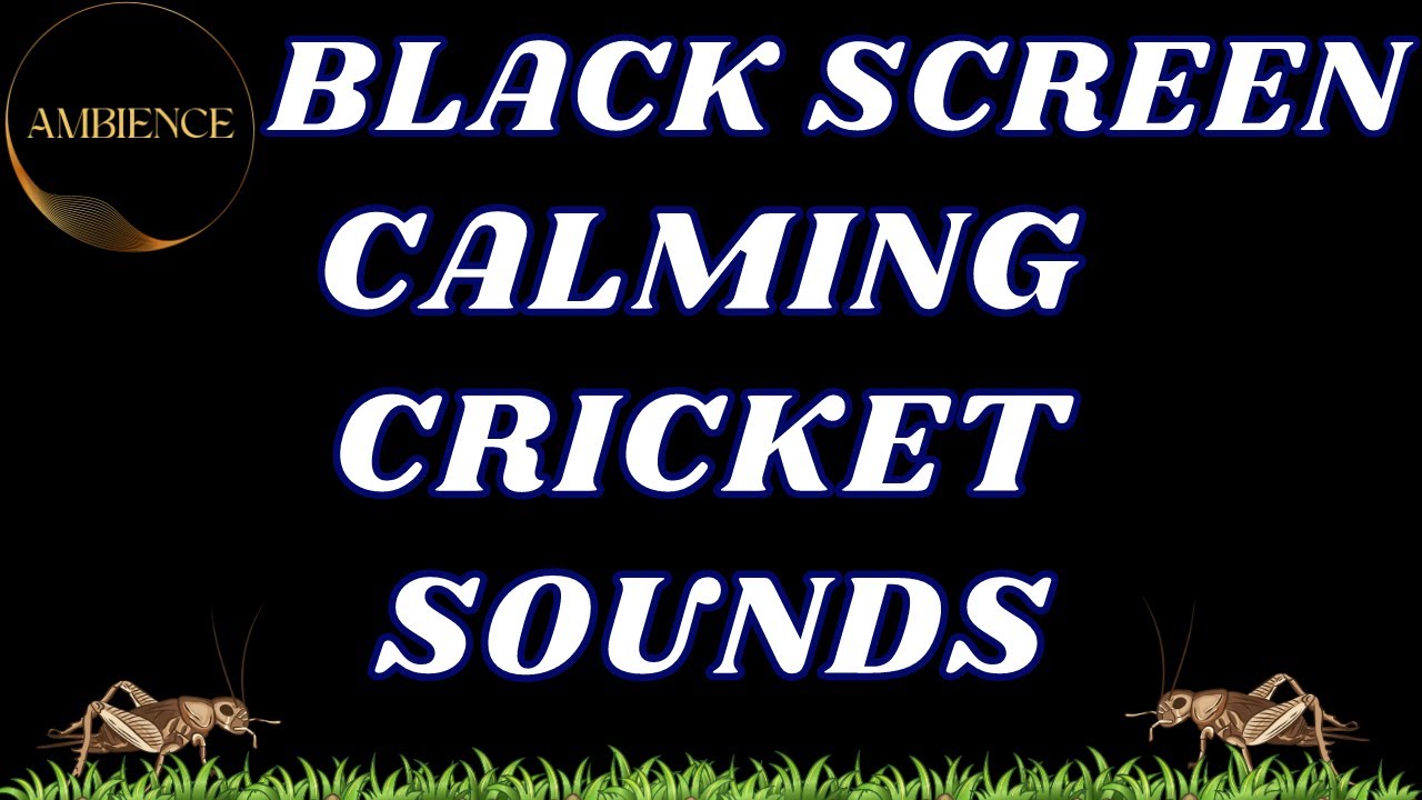 Calm Night Relaxing Cricket Sounds for Sleep - Black Screen Ambience