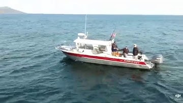 DJI Spark - Ocean Fishing Active Track Mode