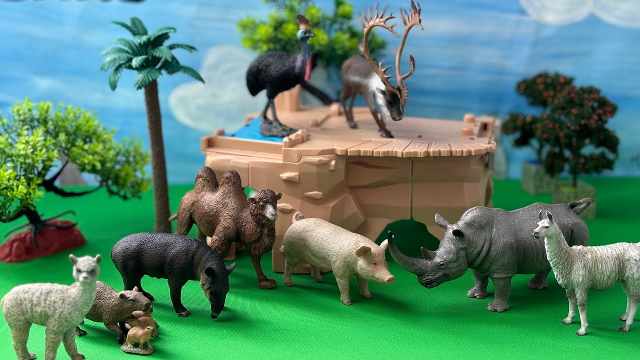 Collecta Rabbit Satisfying Unboxing CollectA Domestic and Wild Animal Figures- Mở hộp ...