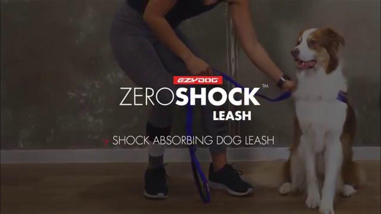 How to use a ShockAbsorbing Dog Leash EzyDog Zero Shock Dog Leash