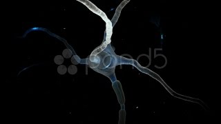 Neuron Animation. Stock Footage