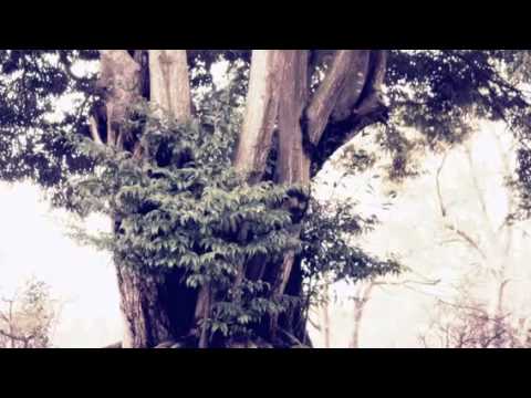 إ لا إ ب ل يس اس ت ك ب ر