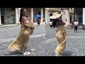 Rihanna Dance "Summertime Magic"