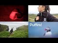 A week of wildlife photography on skomer island puffins manx shearwater