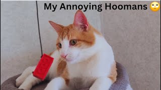My Hoomans are Most Annoyed Creatures of God 😅 Funny Cat Videos will Make you Laugh 🤣 Watch Full 😂 by Namira Taneem 🇨🇦 180 views 1 month ago 21 minutes