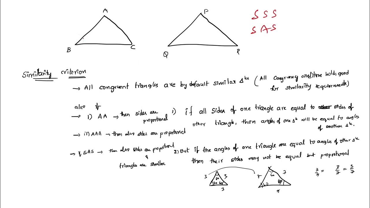INTRODUCTION TO SIMILARITY TRIANGLES SIMILARITY CONDITIONS SSSS, SAS, AAA, AA CRITERIA EX