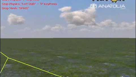 TrueVision3D & Havok Physics Engine Demo