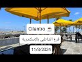   كافيه فرع الشاطبي بالإسكندرية 2024 تجربتي في كافيه سيلنترو مطاعم و كافيهات اسكندرية