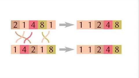 Introduction to Normalization by Evaluation