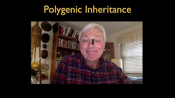 Lesson 23:  Polygenic Inheritance Part 1 by Joe Ruhl