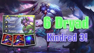 6 Dryad Kindred Carry Once again, very consistent carry | TFT | Set11 | Ranked |