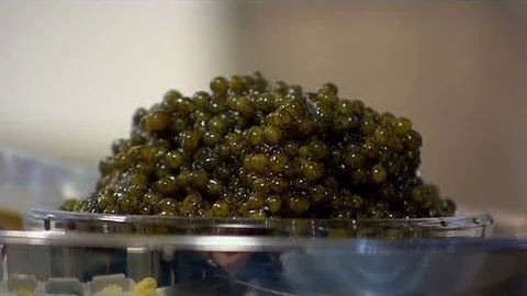 All you need to know about caviar - DayDayNews