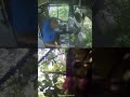 Bus driver falls asleep