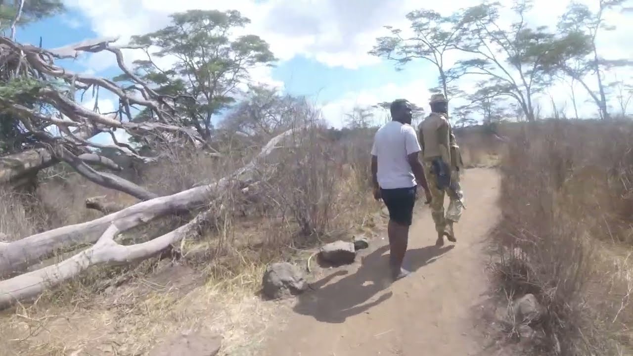 Nairobi National Park Self Safari Drive/My Story/My Experience/WildWorld WD