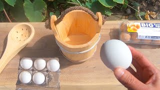 How to cook an egg in Hot Springs