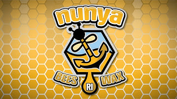 Inspection of Topbar hive and Big Hive