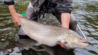 How to catch a 10 kilo sea trout on fly - Things you need to know. Fly fishing in the Mörrum river by DrJohnTheAngler 14,485 views 1 year ago 11 minutes, 31 seconds