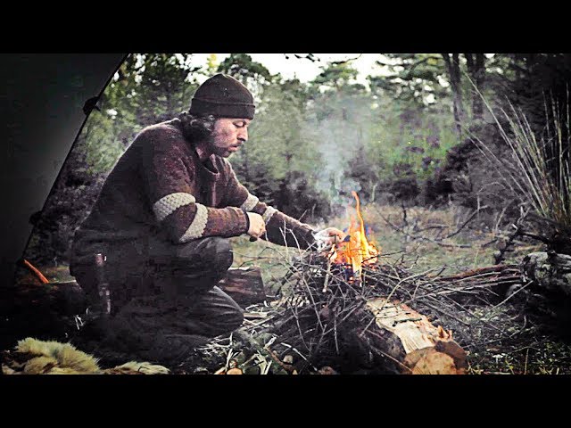 Bushcraft overnighter, camp setup, flint & steel, nying campfire, wood spirit and deer spotting.