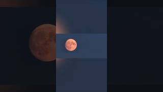 Samsung S21 5g Ultra Moon Photography on Zoom #shorts #moon