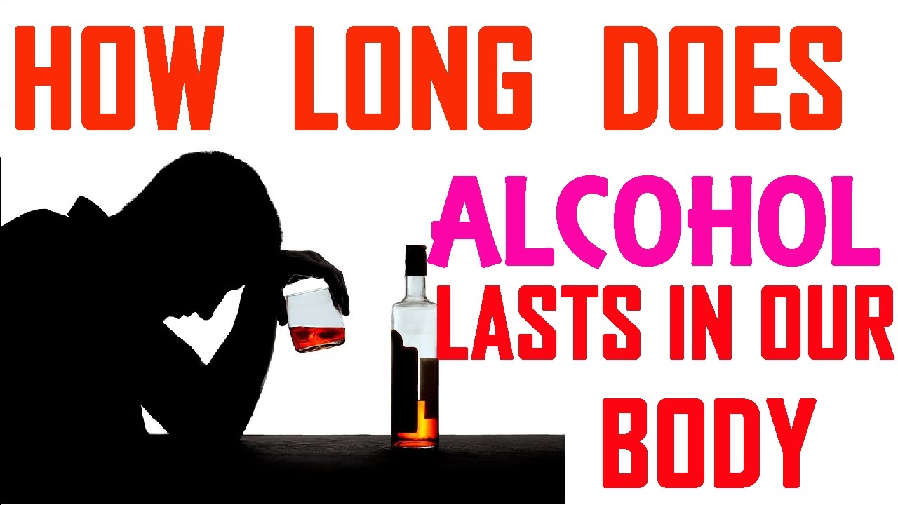 How Long Does Last Alcohol in Your Body YouTube