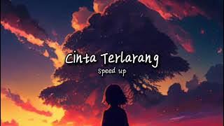 the virgin - cinta terlarang (speed up)