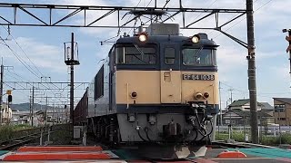 EF64 1038+コキ 伯備線貨物伯耆大山行 総社駅通過 2026.7