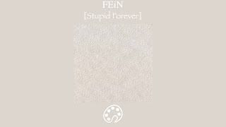 FEiN - Stupid Forever