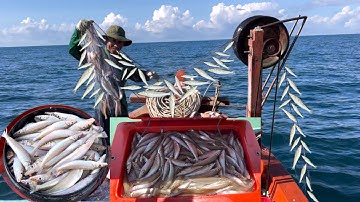 Giác lưới thứ 4 | lưới cá đục | giác lưới trúng cá khủng | hoàng Phú quốc