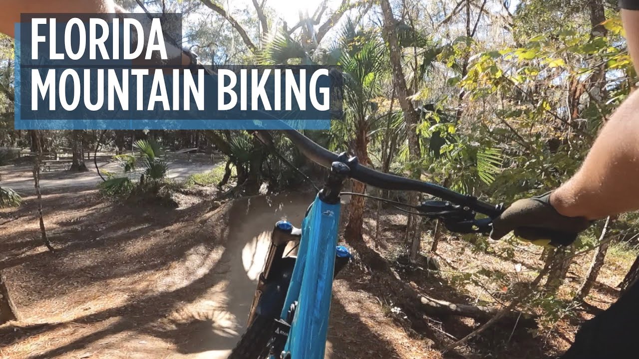 Mountain biking Ocala Florida // Santos Trail, Vortex Trail, Indigo Flow