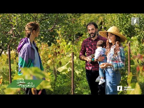 #ფერმა თბილისელი ბავშვები ქსოვრისში - შემოდგომის დღესასწაული ხუთშვილიანი ოჯახის მცირე მეურნეობაში