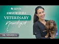 A Day in the Life of a Veterinary Neurologist || Dr. Senneca