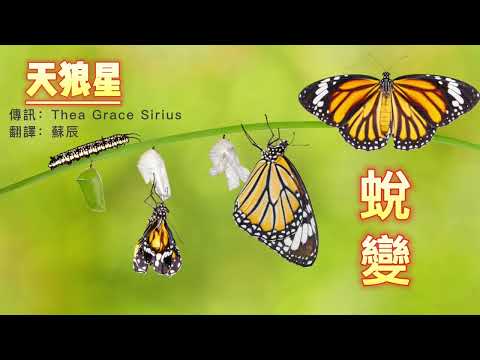 【天狼星訊息】蛻變