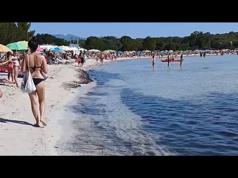 Video Concessioni Balneari, Ne Approfittano?