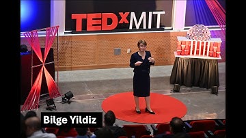 Ionics for Energy-Efficient AI Hardware | Bilge Yildiz | TEDxMIT