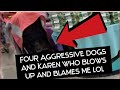 AGGRESSIVE FAKE SERVICE DOGS | SHE BLAMES MY DOG