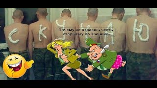 Топ 30 Приколов В Армии Russian army. Большая нарезка армейских приколов Топ 30 Приколов В Армии Russian army. Большая нарезка армейских приколов