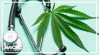 Eastern Band of Cherokee Indians to issue cards allowing legal purchase of marijuana