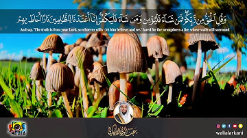 | واصبر نفسك مع الذين يدعون ربهم..| مقطع من سورة #الكهف #عبدالولي_الاركاني