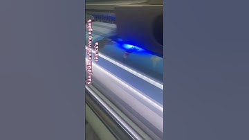 Rèm cửa sổ in tranh - sản phẩm mới - xu hướng mới cho ngành rèm cửa năm 2025