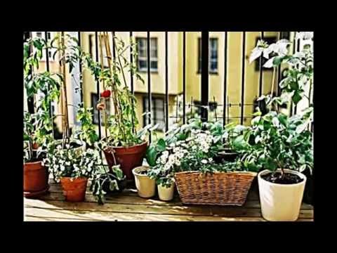 Kreative ideen wie sie auf dem balkon kleinen gemüse garten ...