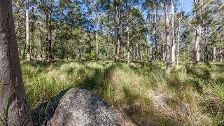 Lot 11 - 905K Main Western Road, Tamborine Mountain