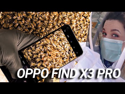 La "dolce" 🍯 prova fotografica di OPPO FIND X3 PRO 🐝